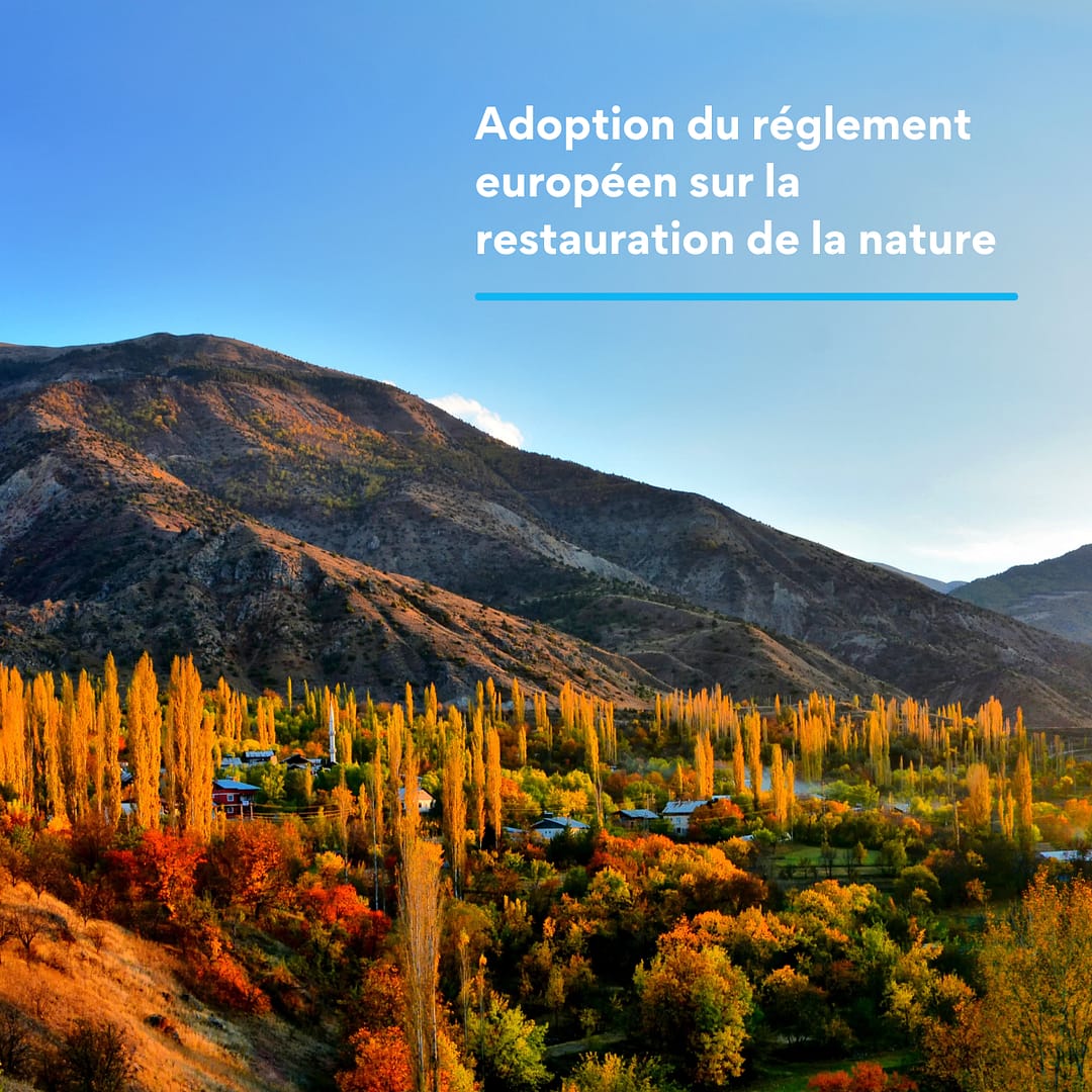 Adoption du règlement européen sur la restauration de la nature