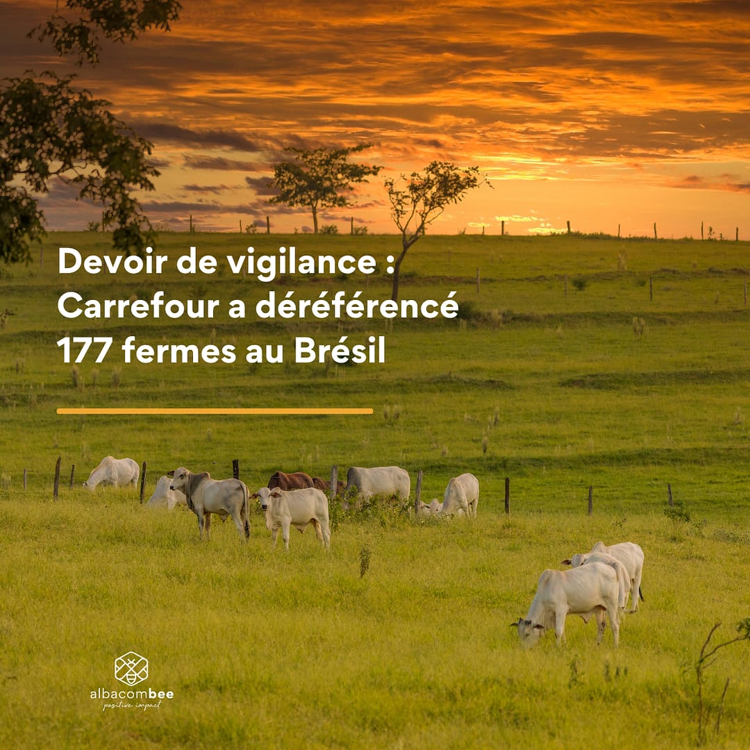 Devoir de vigilance : Carrefour a déréférencé 177 fermes au Brésil