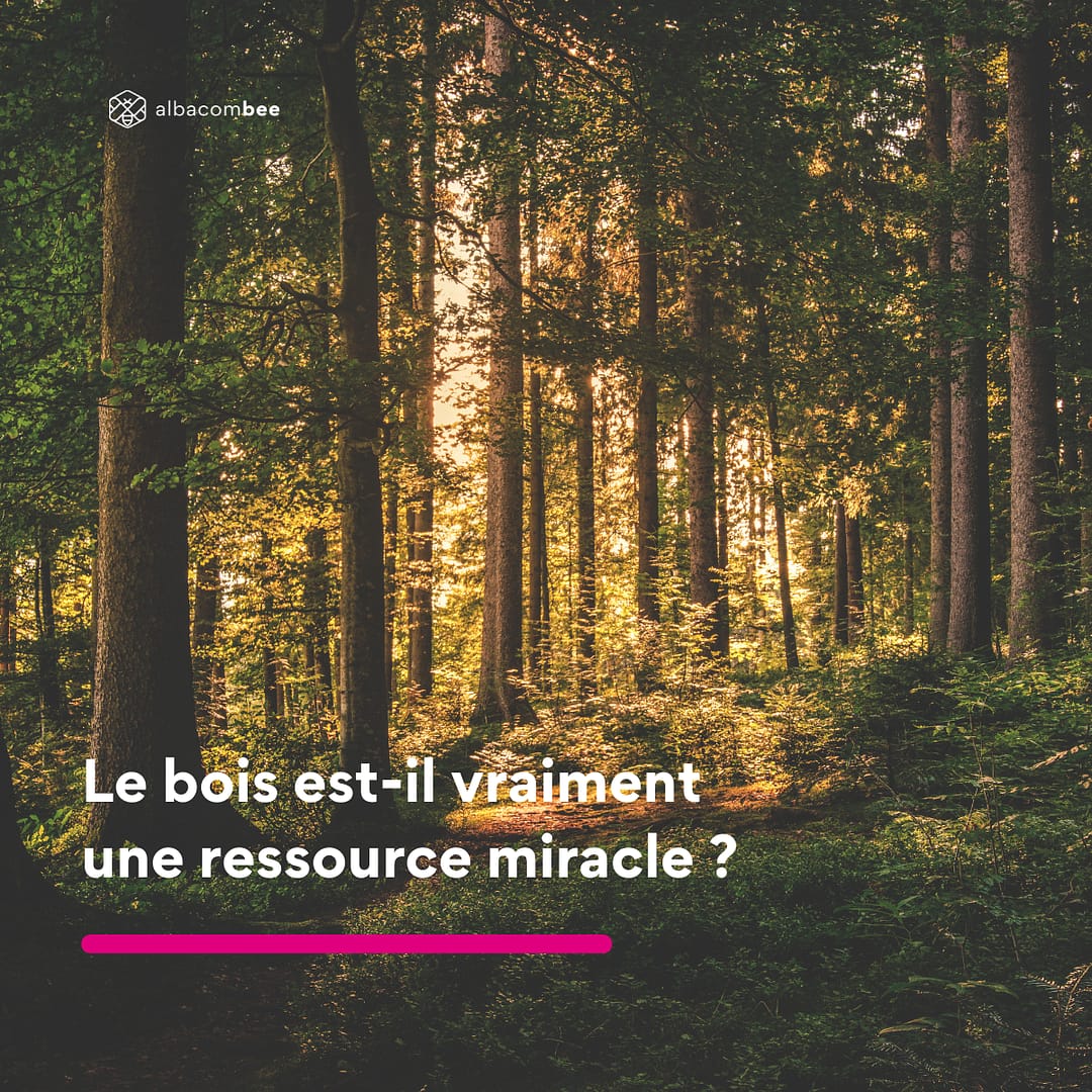 foret - bois ressource miracle