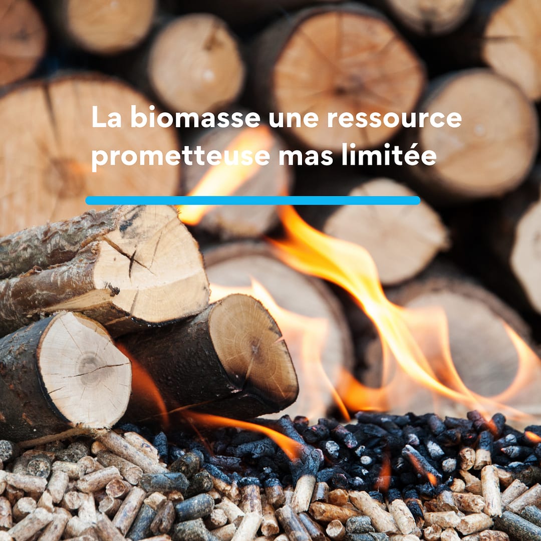 La biomasse une ressource prometteuse mas limitée