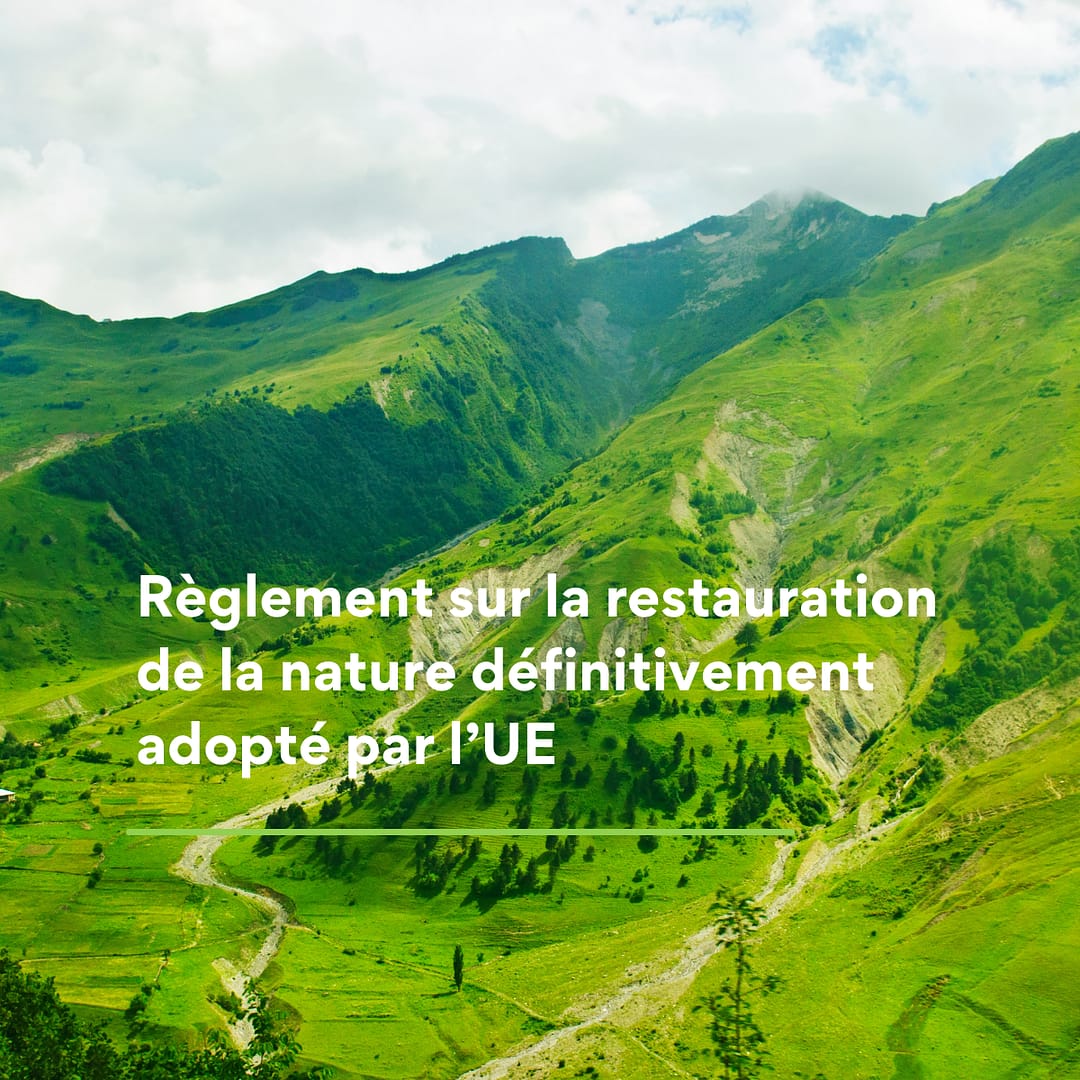 Règlement sur la restauration de la nature définitivement adopté par l’UE