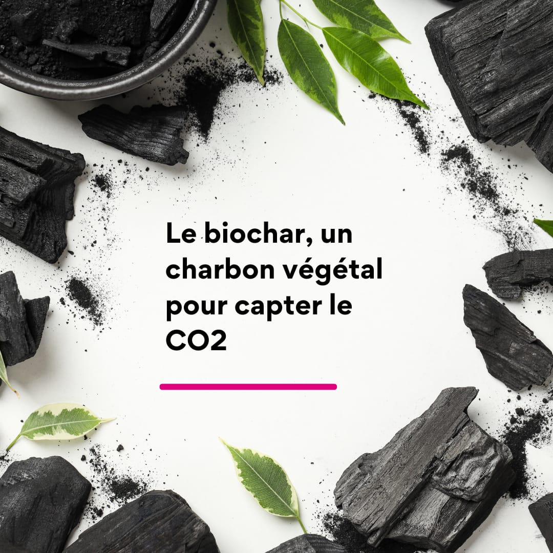 Le biochar un charbon végétal pour capter le CO2