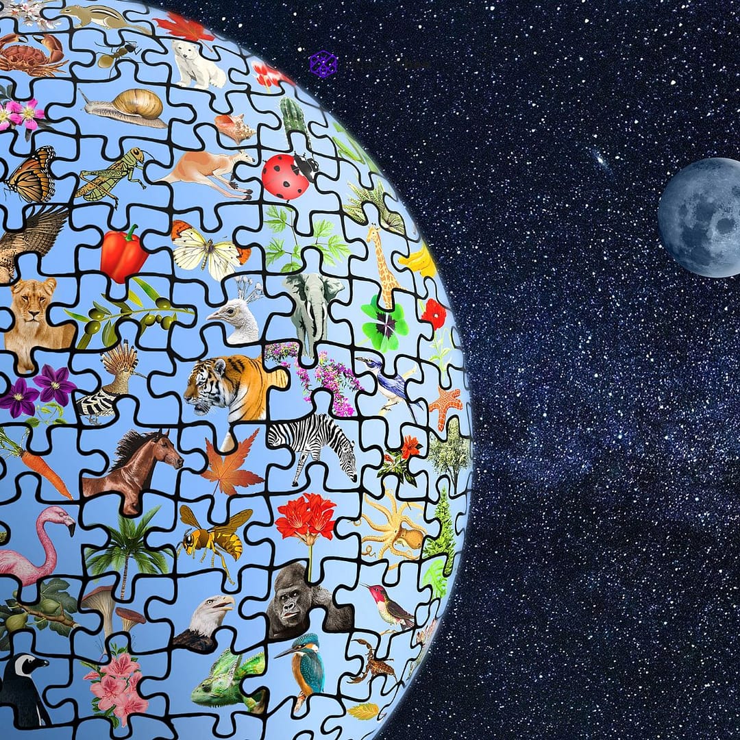 Des crédits biodiversité pour préserver la nature - Albacombee