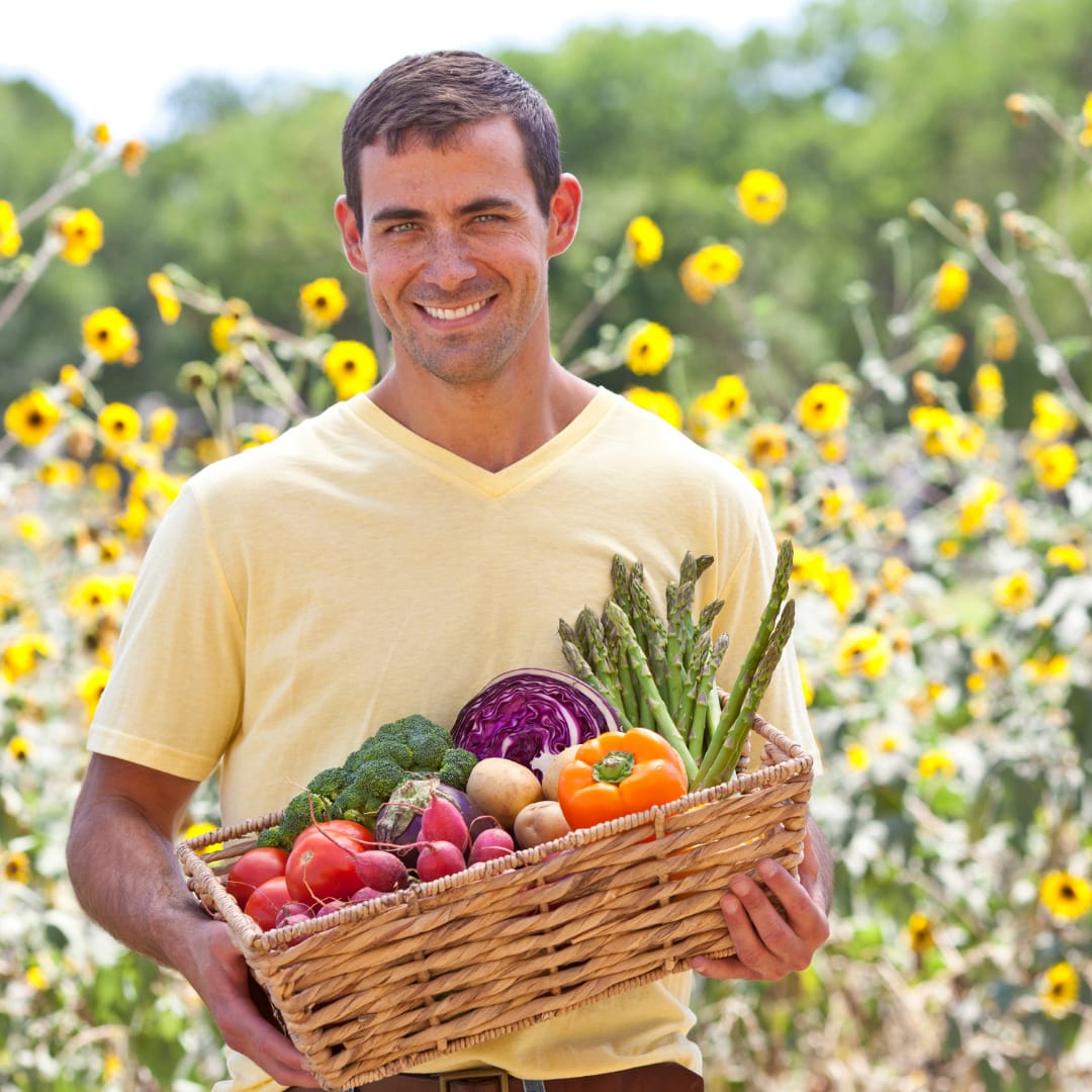 reprise consommation produits bio 2024