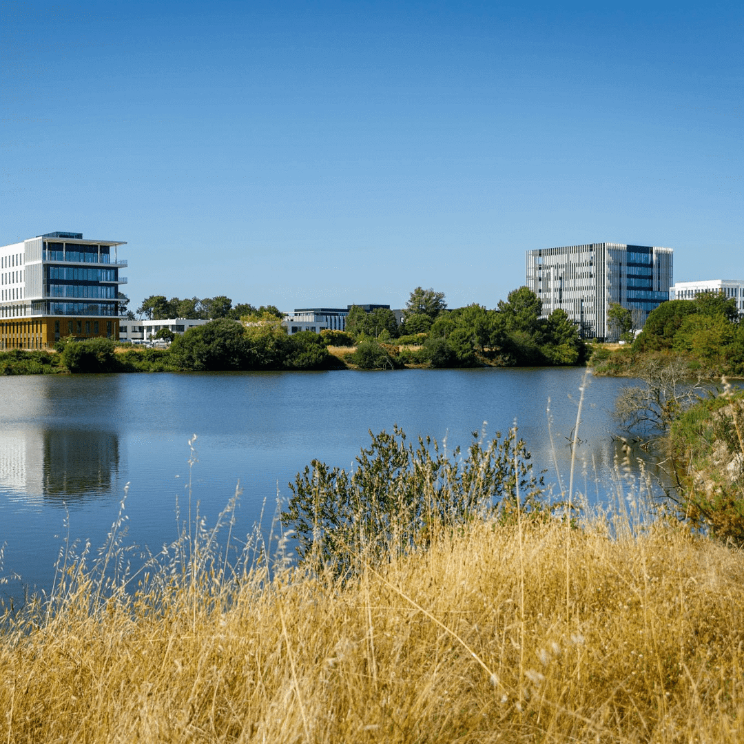 réutiliser eau de pluie pour l'espace urbain