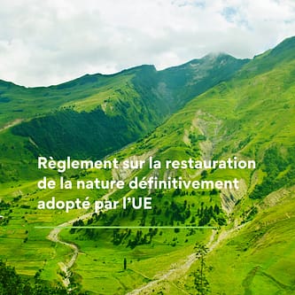 Règlement sur la restauration de la nature définitivement adopté par l’UE