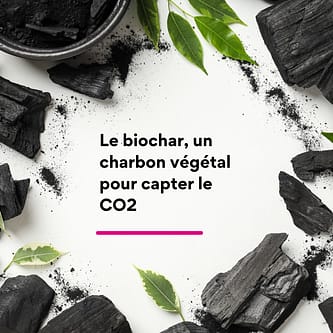 Biochar un charbon végétal