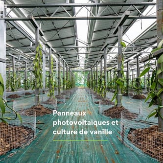 Panneaux photovoltaïques et culture de vanille