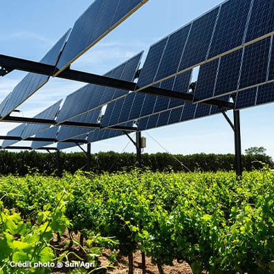 L’agrivoltaïsme : une solution pour rattraper notre retard sur les énergies renouvelables ?