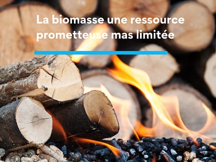 La biomasse une ressource prometteuse mas limitée