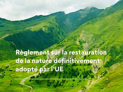 Règlement sur la restauration de la nature définitivement adopté par l’UE