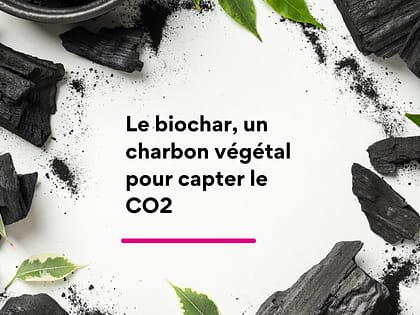 Biochar un charbon végétal