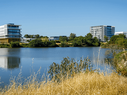 réutiliser eau de pluie pour l'espace urbain