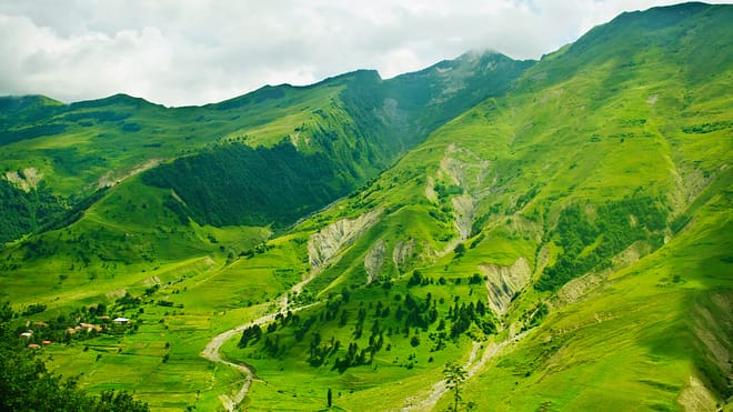 Règlement sur la restauration de la nature définitivement adopté par l’UE