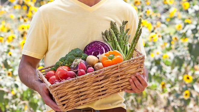 reprise consommation produits bio 2024